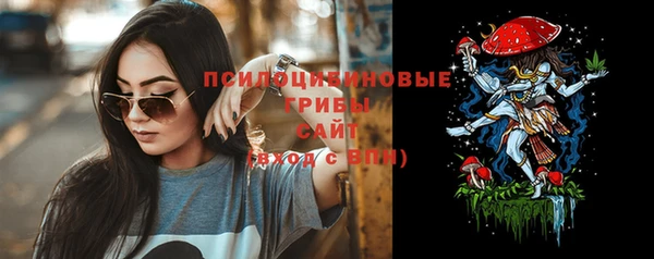 СК Сосновый Бор